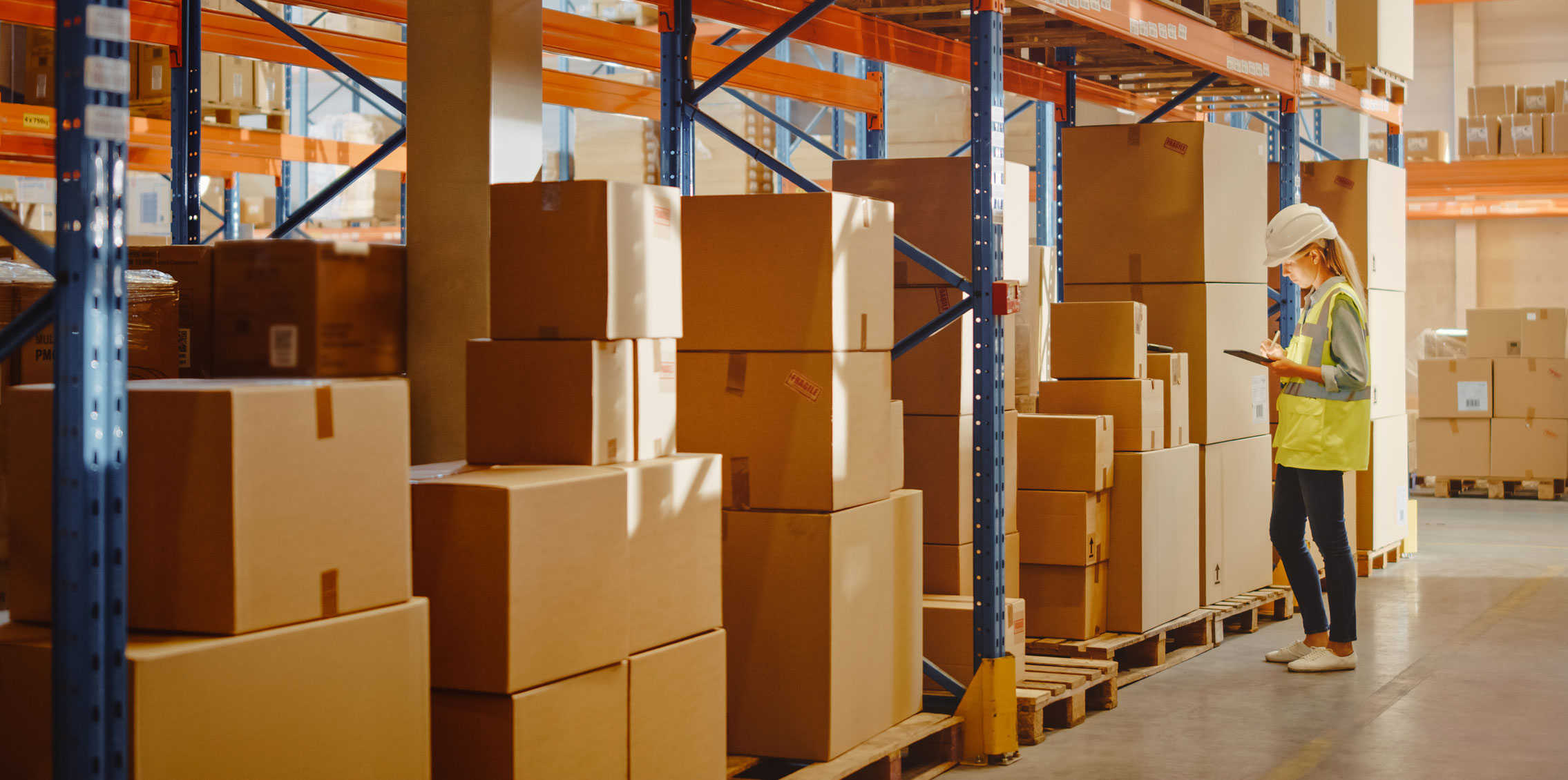 White Cup CRM Beats Rubber Tree Price and Features